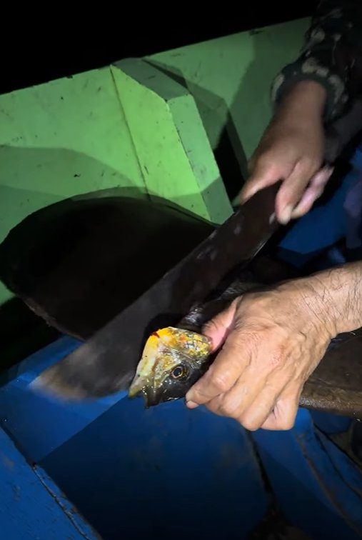 Preparing dinner in the jungle